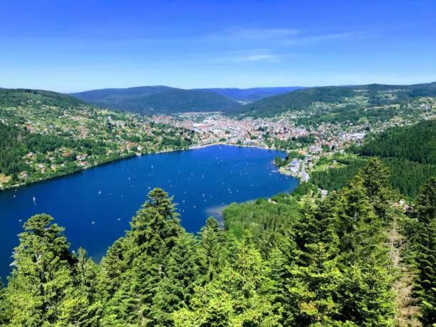 Appartement Les Balcons De La Chalande Le Tholy Gerardmer, Jardin,Balcon, Terrasse, Eksteriør billede