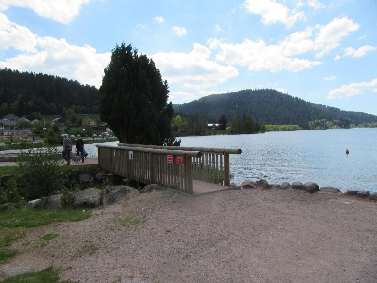 Appartement Les Balcons De La Chalande Le Tholy Gerardmer, Jardin,Balcon, Terrasse, Eksteriør billede