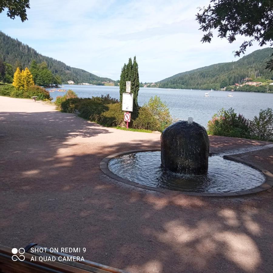 Appartement Les Balcons De La Chalande Le Tholy Gerardmer, Jardin,Balcon, Terrasse, Eksteriør billede
